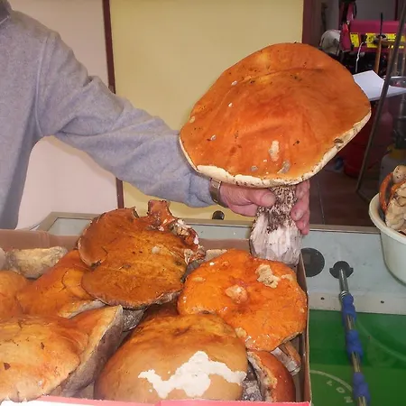 Pohoda Penzion 3*